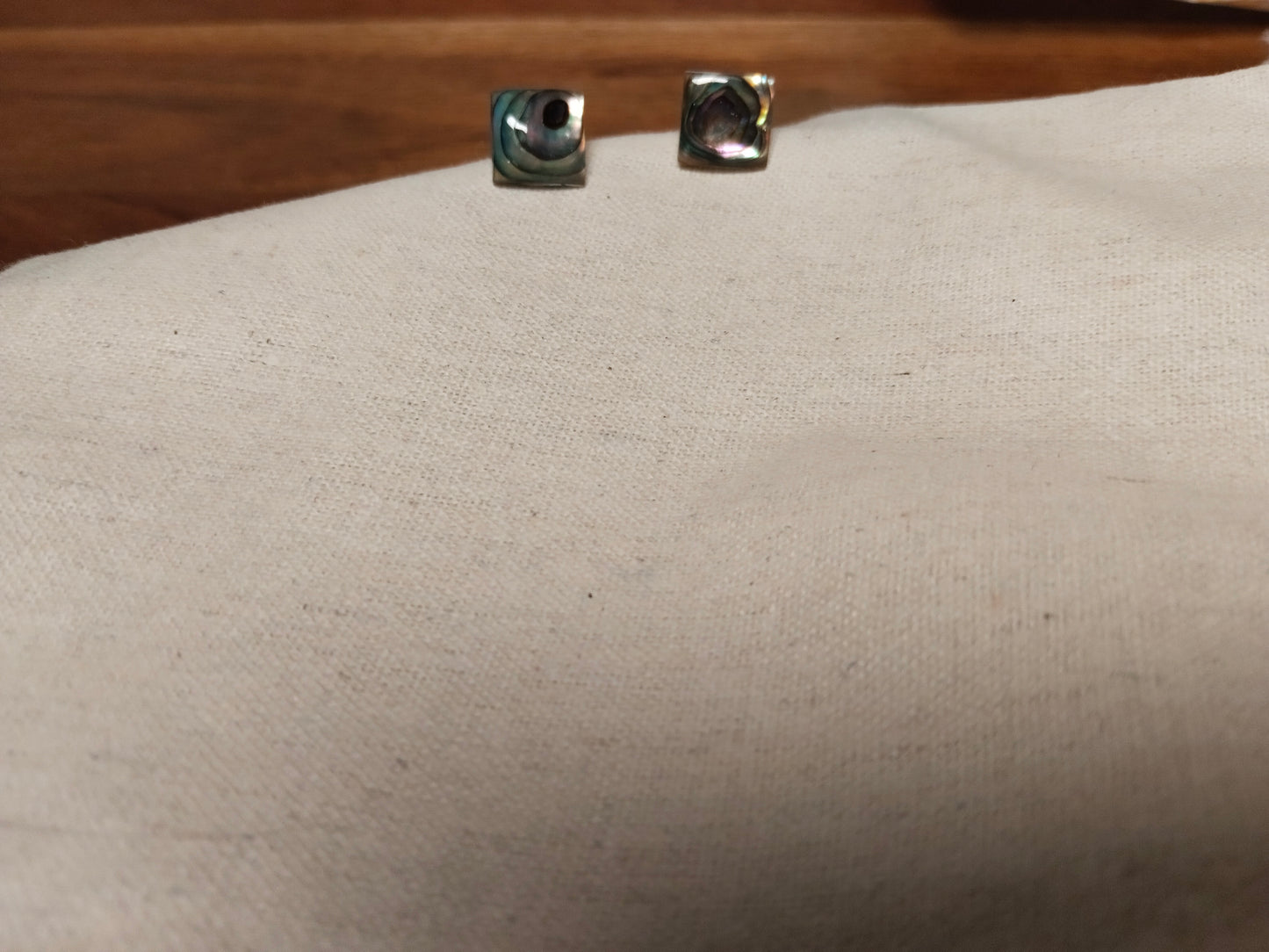 Zero Gram Abalone Shell Handcrafted Stud Earrings