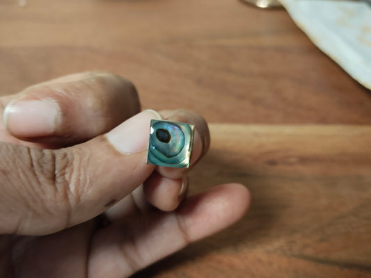 Zero Gram Abalone Shell Handcrafted Stud Earrings