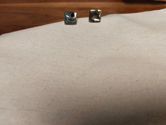 Zero Gram Abalone Shell Handcrafted Stud Earrings